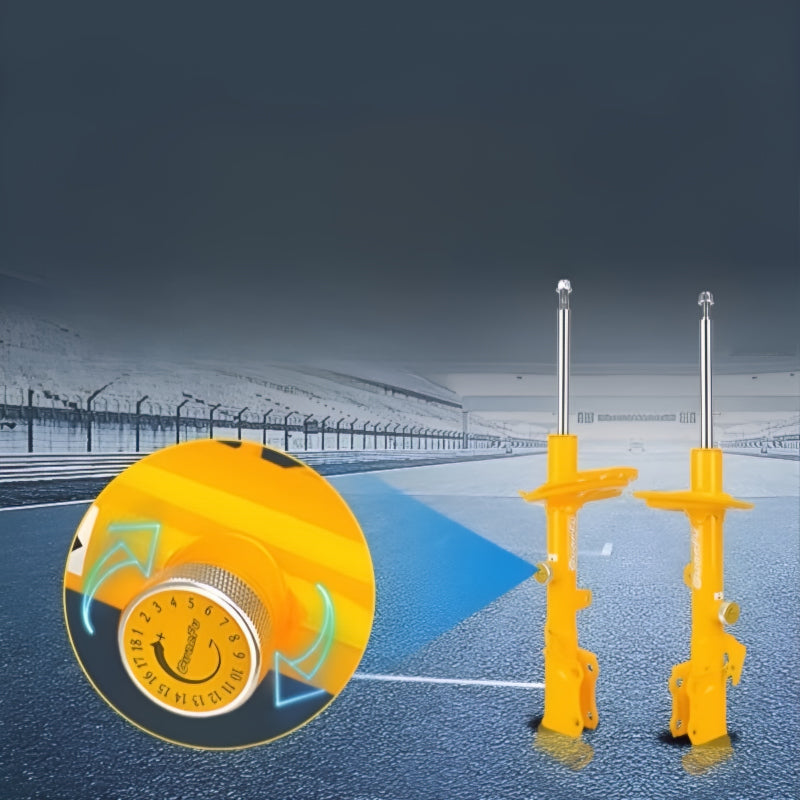 Shock Absorber for XPeng G6 G9 P7