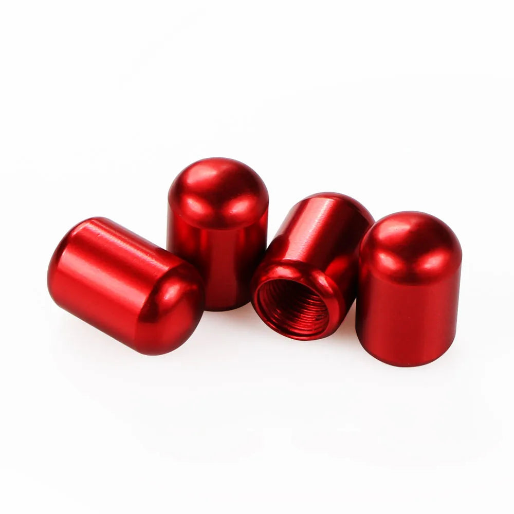 4PCS Car Tire Valve Caps For BYD Car