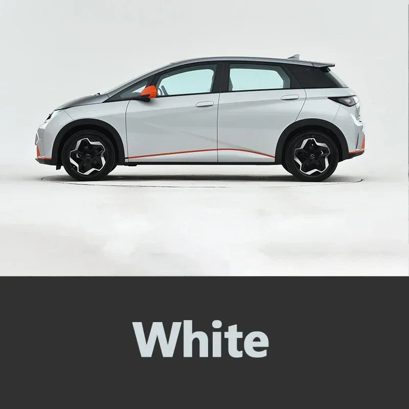 Car Paint Repair Pen for BYD Dolphin