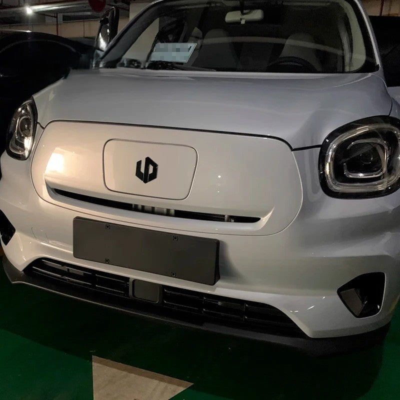 Leapmotor Blackened Car Emblem Letter Sticker - Leapmotor Accessories