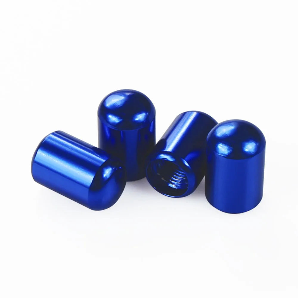 4PCS Car Tire Valve Caps For BYD Car