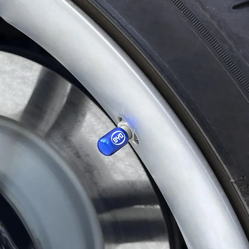 4PCS Car Tire Valve Caps For BYD Car