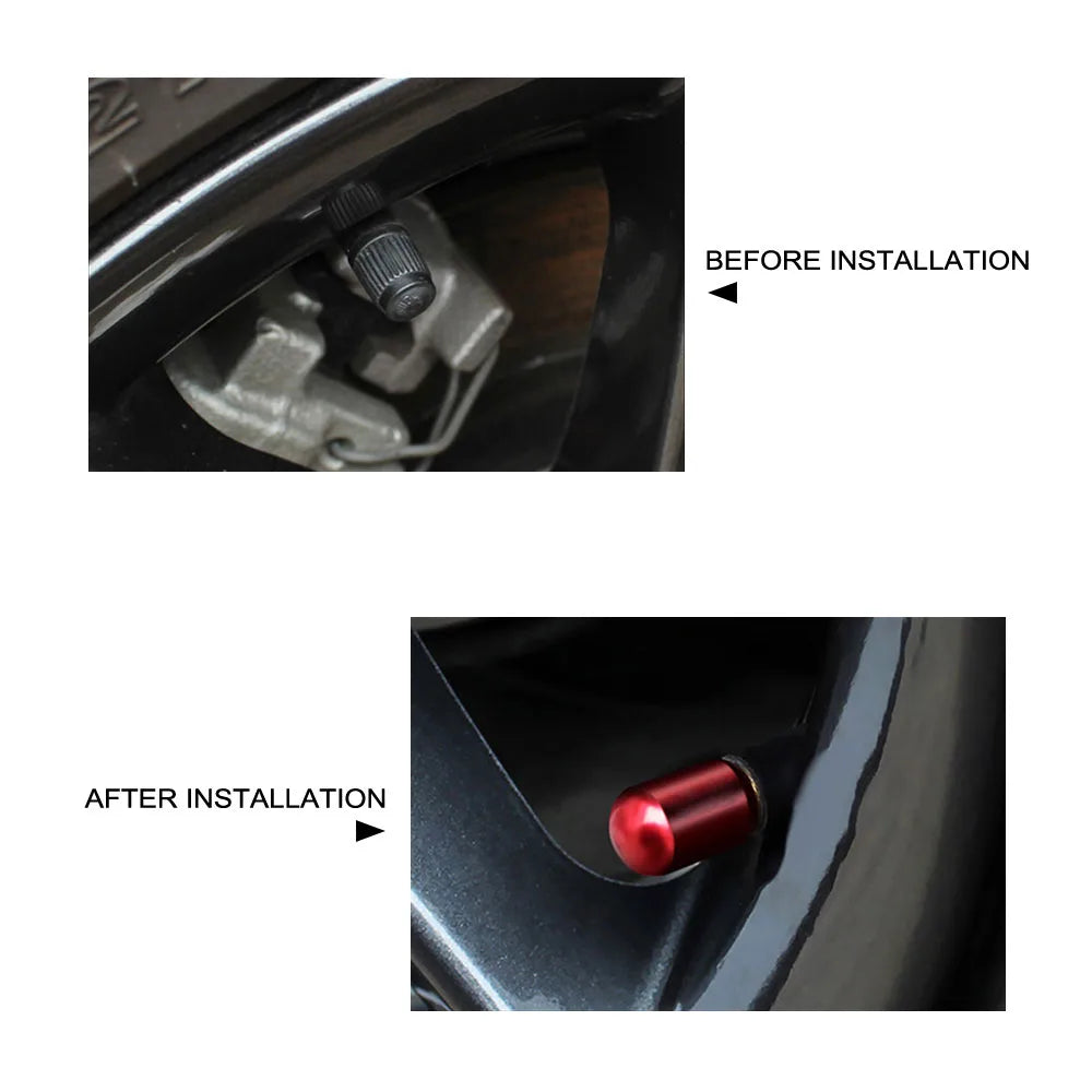 4PCS Car Tire Valve Caps For BYD Car