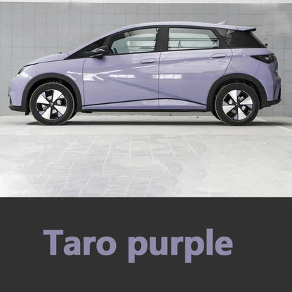 Car Paint Repair Pen for BYD Dolphin