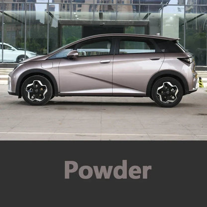 Car Paint Repair Pen for BYD Dolphin