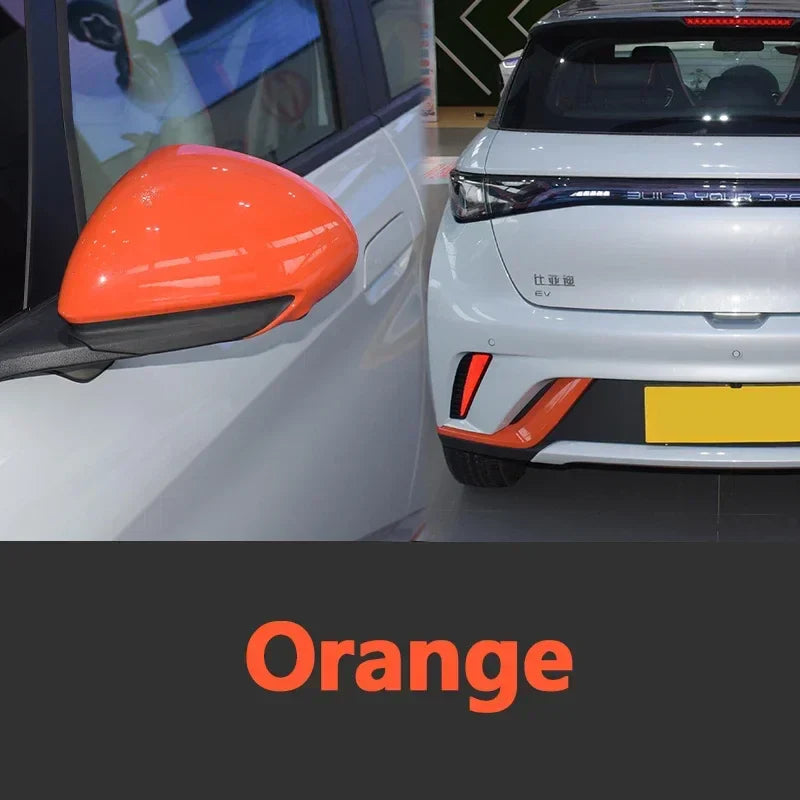 Car Paint Repair Pen for BYD Dolphin