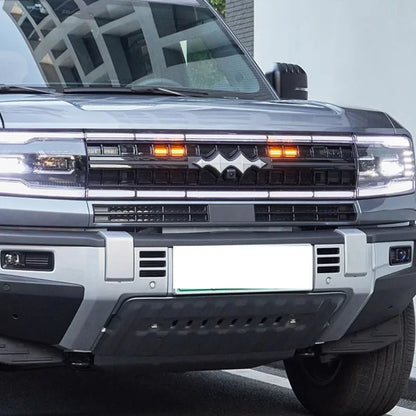 BYD Leopard 5 Lnsect Proof Net For Car Grille