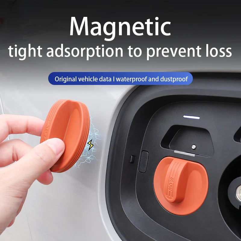ZEEKR 001/7/9/X Magnetic Dustproof Protective