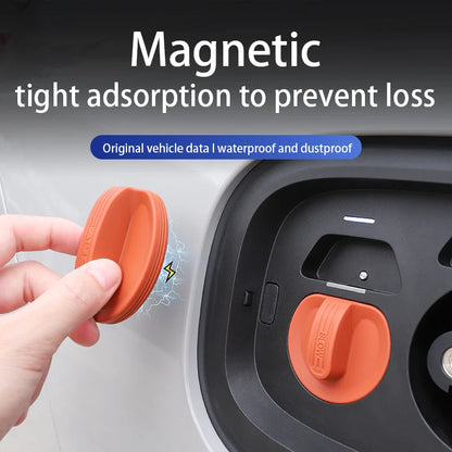 ZEEKR 001/7/9/X Magnetic Dustproof Protective