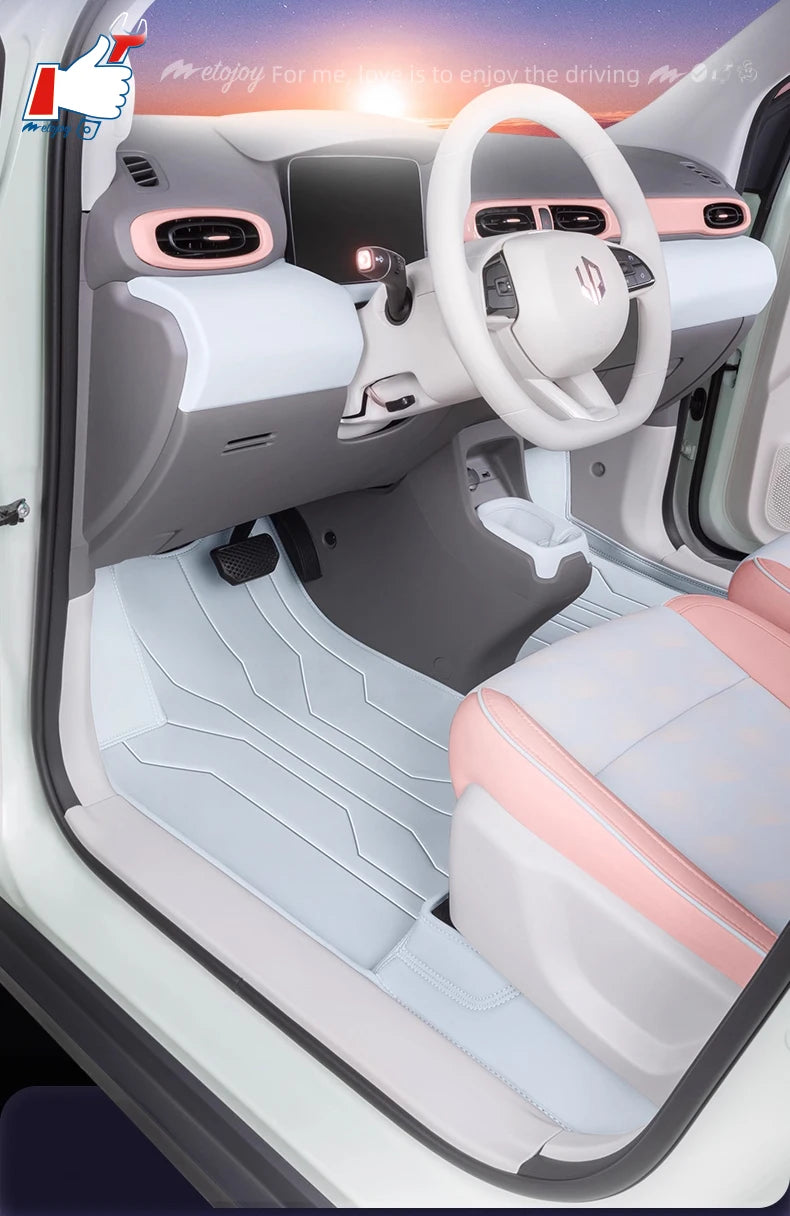 LHD Car Floor Mat For Leamotor T03